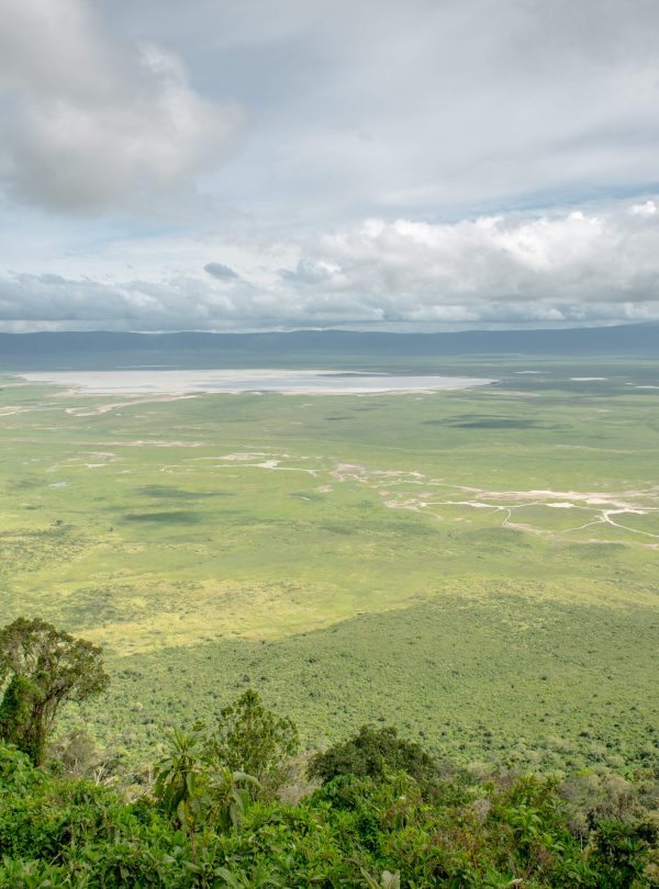 Ngorongoro crater